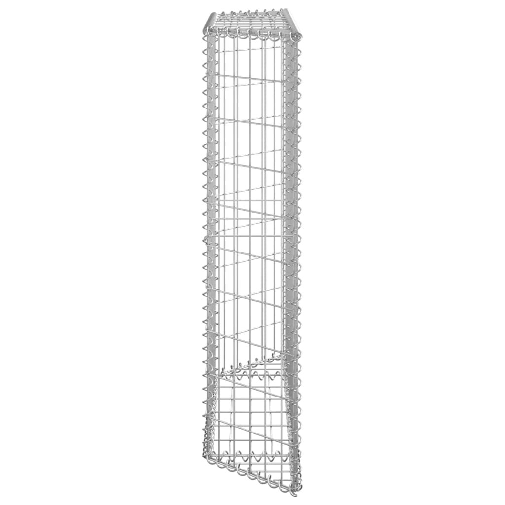 Gabbione Letto Rialzato Trapezio Acciaio Zincato 100x20x100 cm
