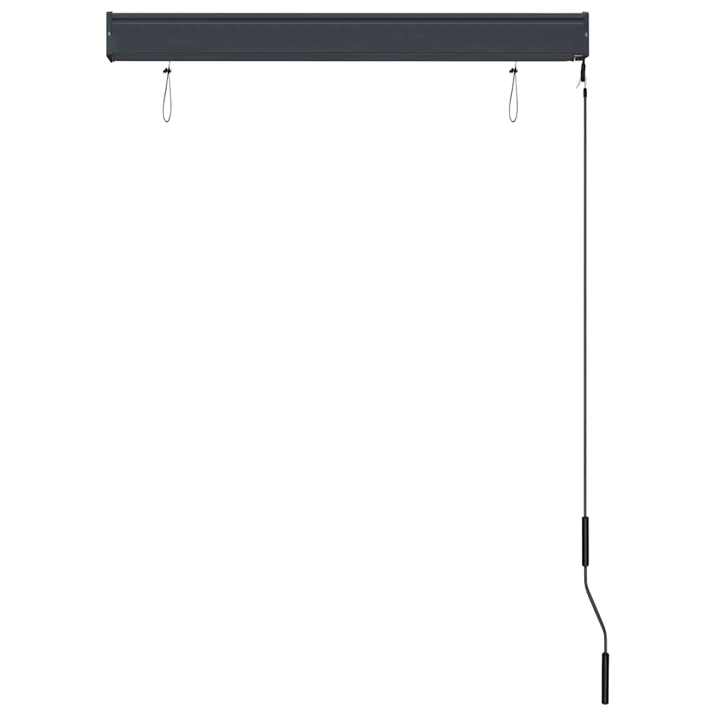 Tenda a Rullo per Esterni 100x250 cm Arancione e Marrone