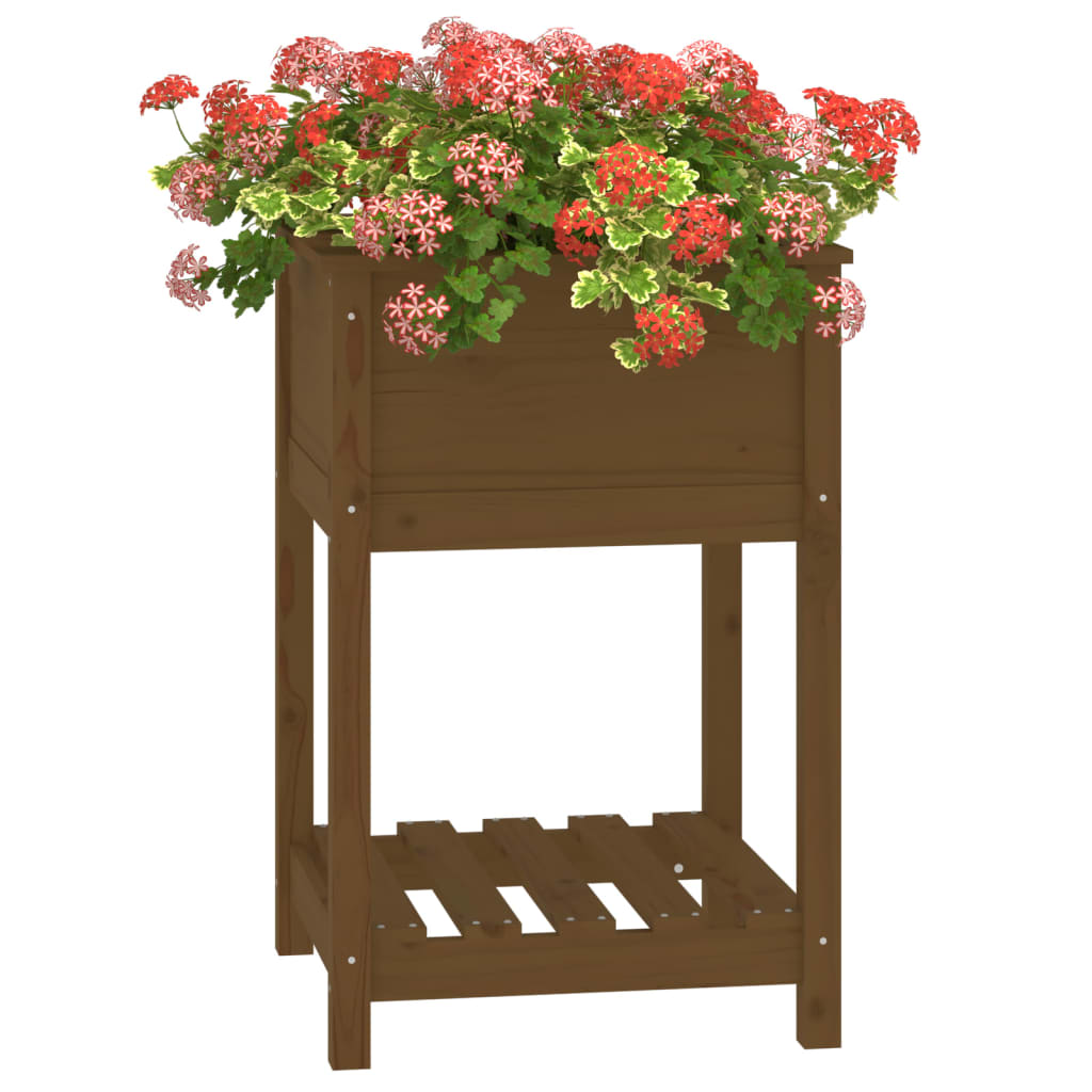 Fioriera con Mensola Ambra 54x54x81cm in Legno Massello di Pino