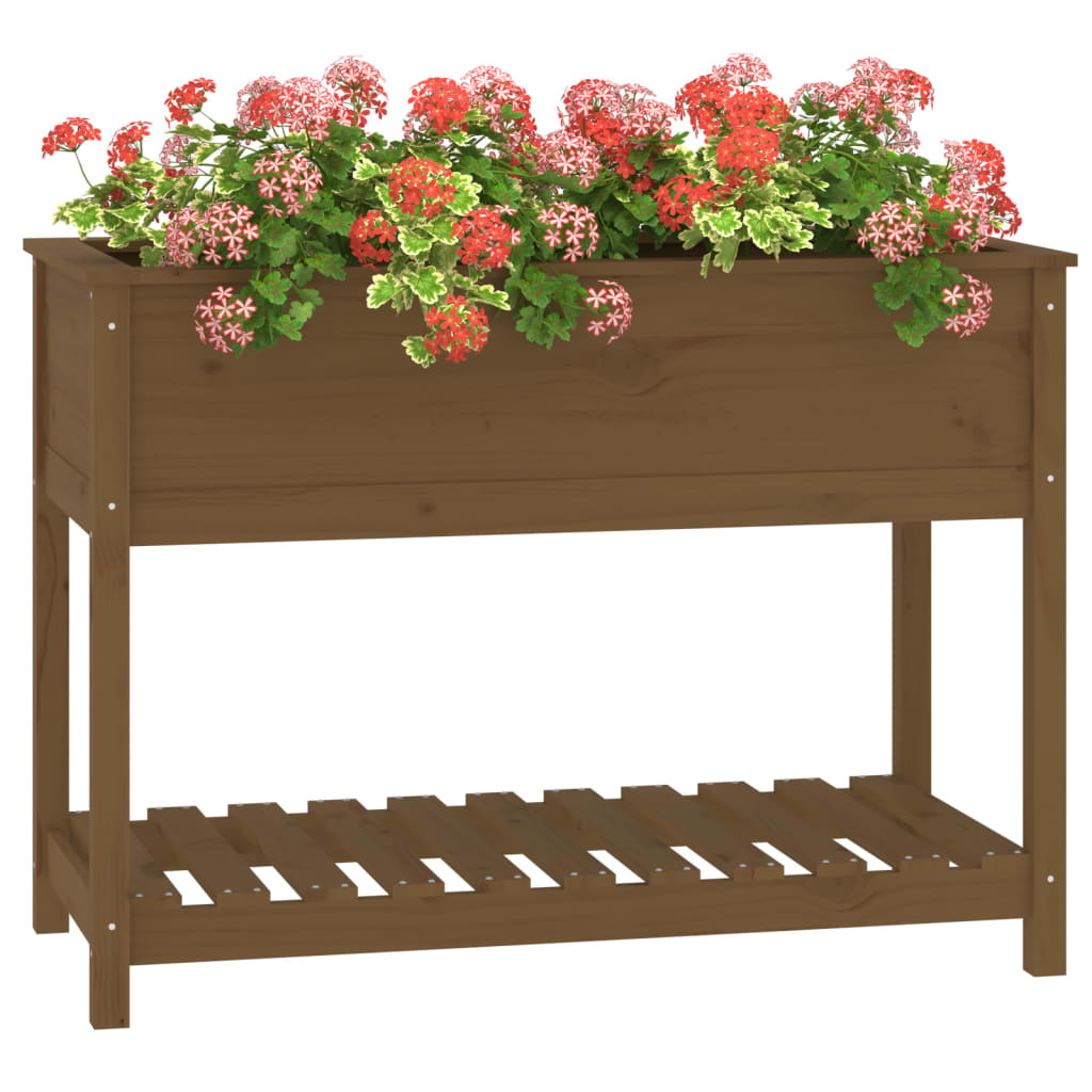 Fioriera con Mensola Ambra 111,5x54x81cm in Legno Massello Pino