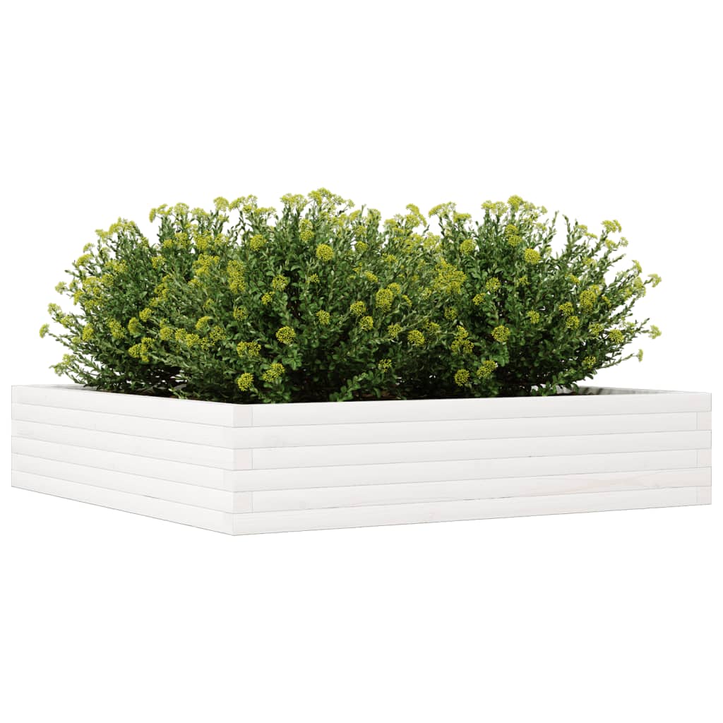Fioriera da Giardino Bianca 110x110x23cm Legno Massello di Pino