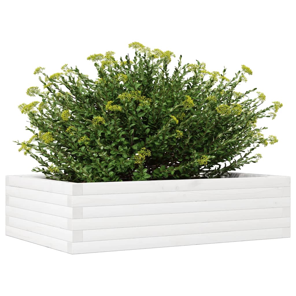 Fioriera da Giardino Bianca 90x60x23 cm Legno Massello di Pino