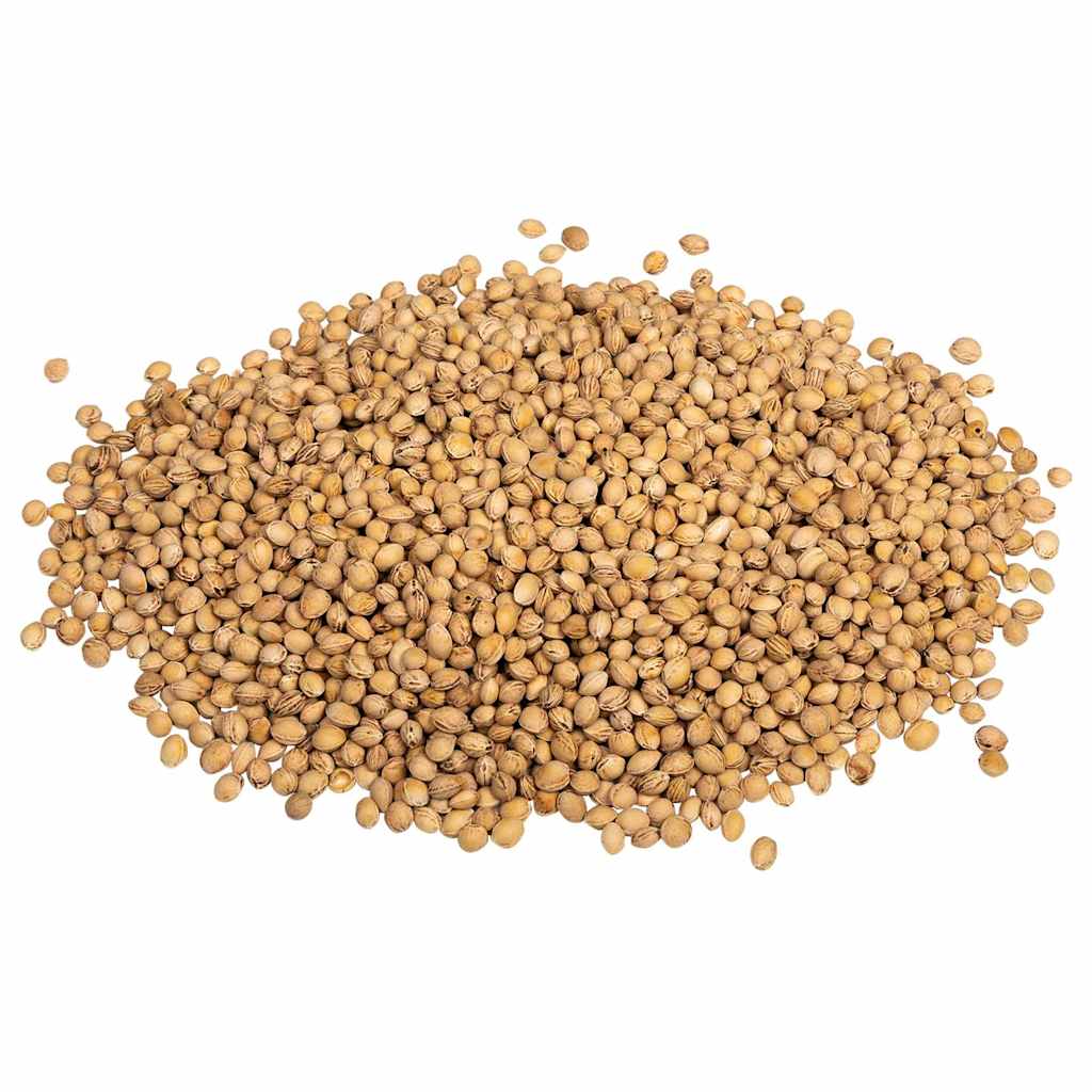 Noccioli di Ciliegia per Cuscino Termico 5 kg