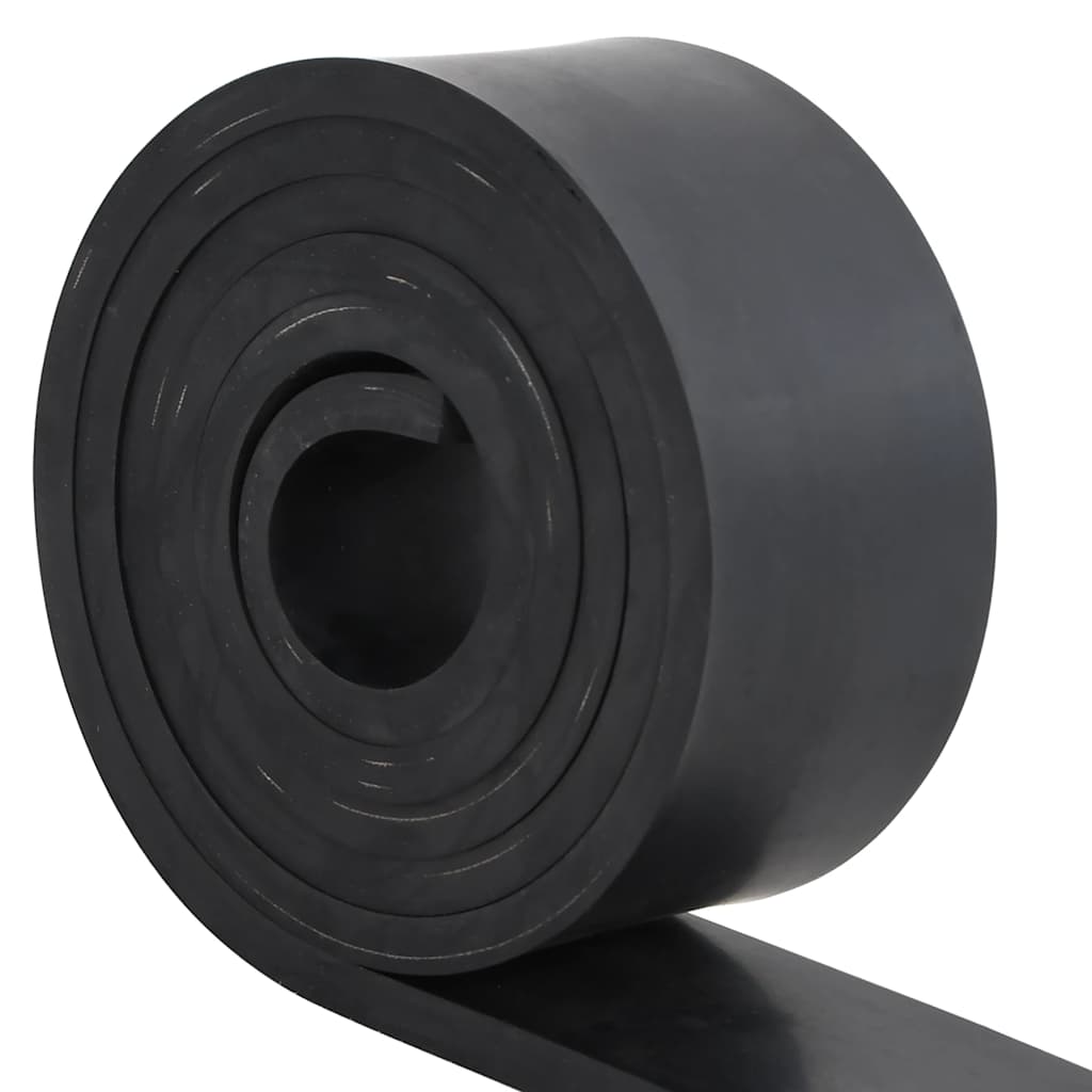 Bordo in Gomma per Spazzaneve Nero 250x8x1 cm