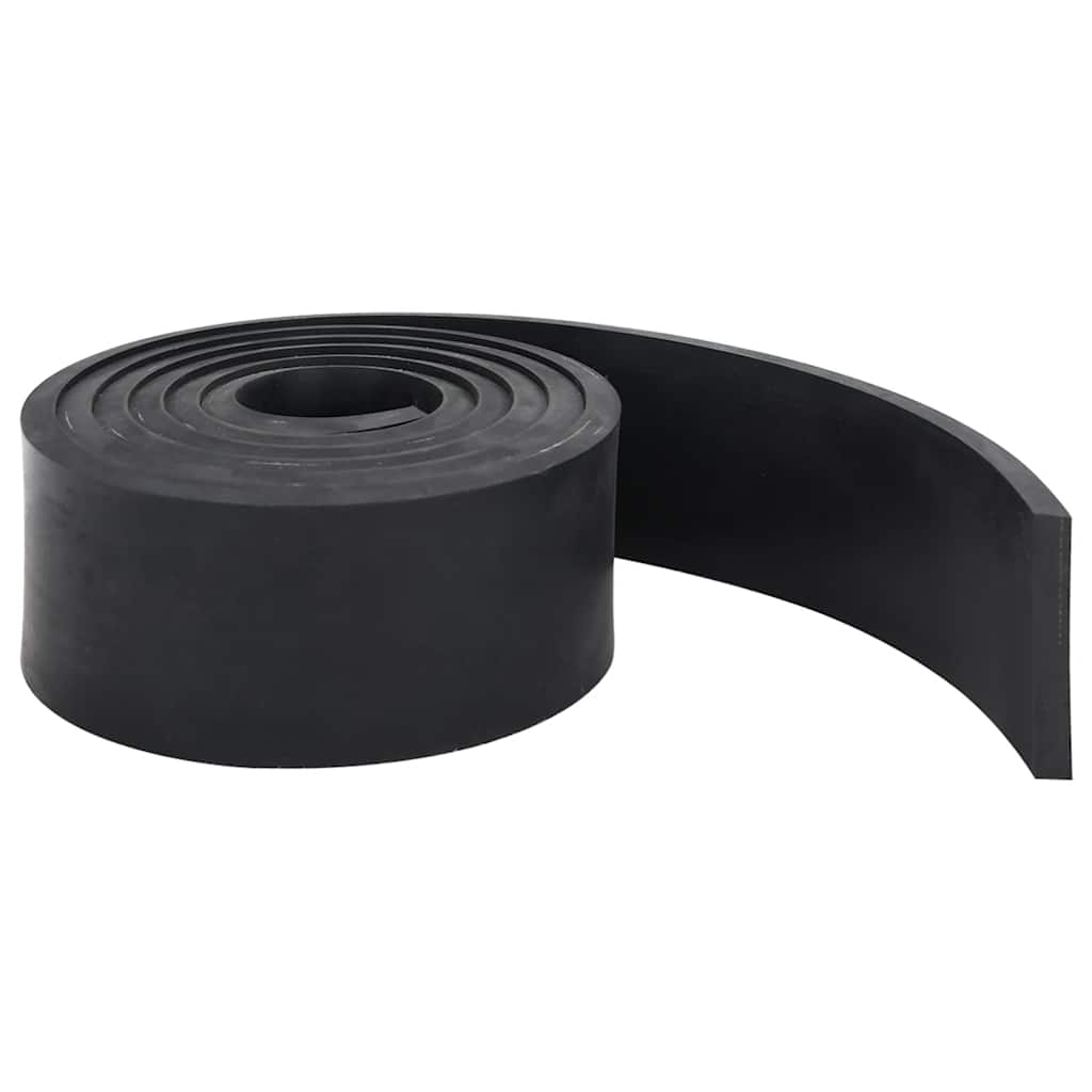 Bordo in Gomma per Spazzaneve Nero 250x10x1 cm