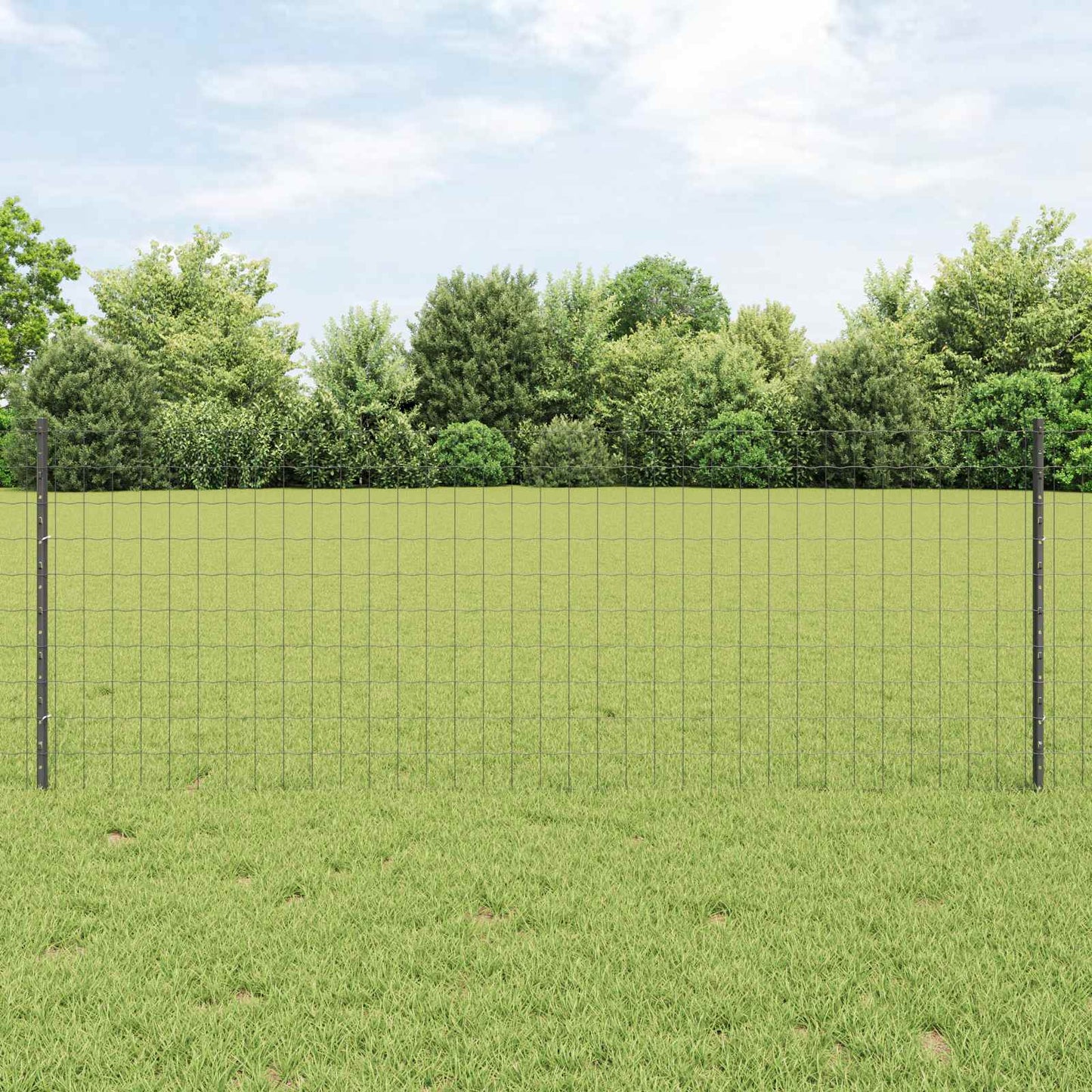 Recinzione con Posto Grigio 0,8 x 10 m Acciaio