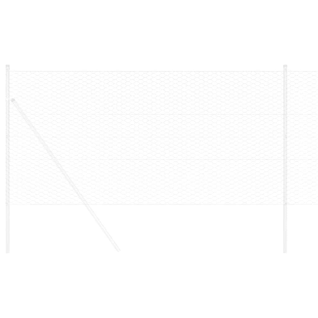Recinzione Esagonale Argento 0,8 x 25 m Acciaio zincato