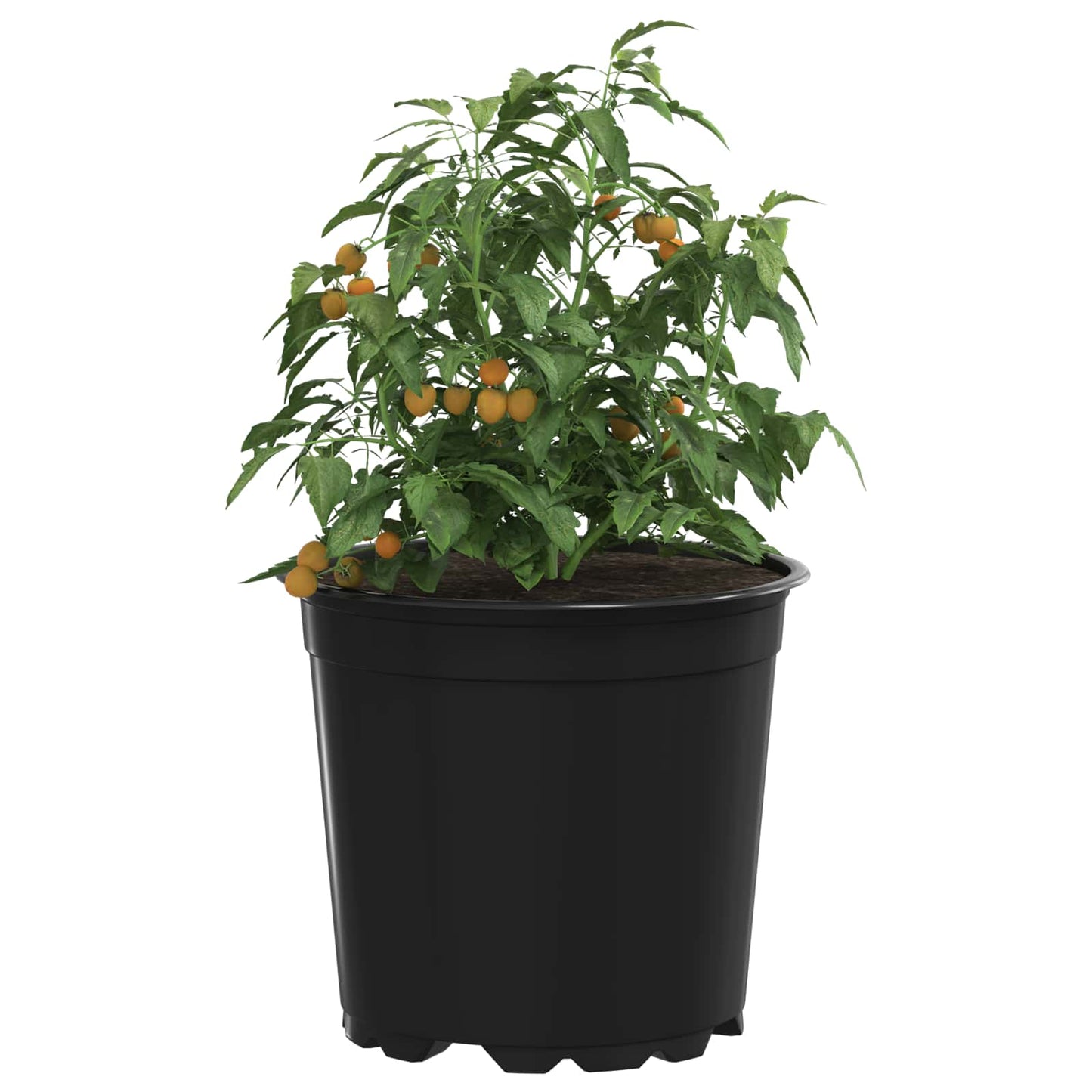 Vaso per Fiori 200 pcs Nero Ø 15 x 13 cm Plastica