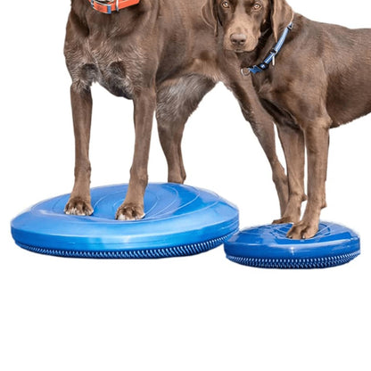 FitPAWS Disco per l'Allenamento dell'Equilibrio per Cani 56 cm Blu