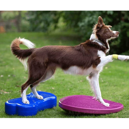 FitPAWS Disco per l'Allenamento dell'Equilibrio per Cani 56 cm Lampone