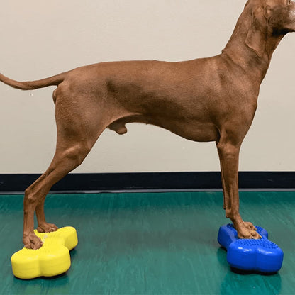 FitPAWS Piattaforme di Equilibrio Mini K9FITbone 2 pz 29x16,5x6cm Blu