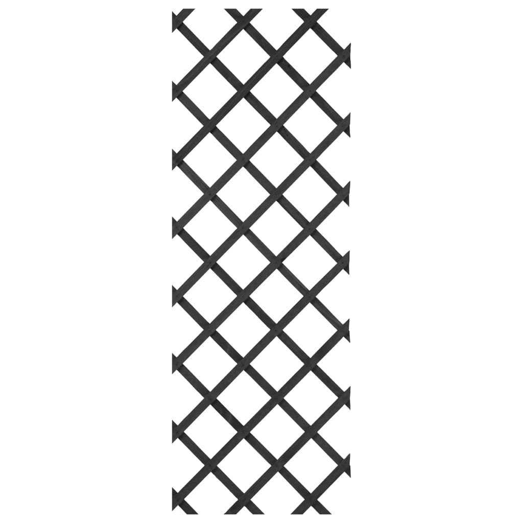 Nature Traliccio da Giardino 50x150 cm in PVC Antracite
