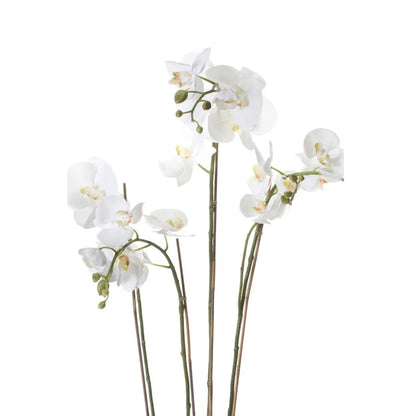 Emerald Orchidea Artificiale con Muschio Bianca 90 cm 20.355