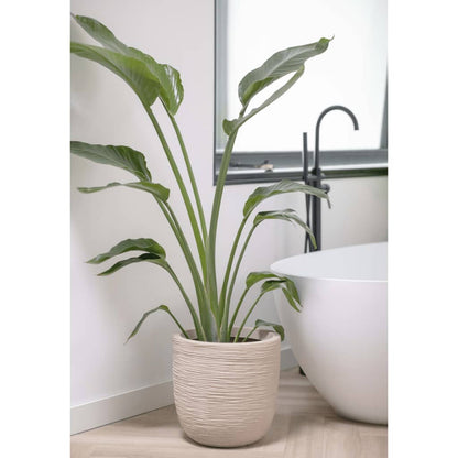 Capi Fioriera Rotonda Waste Rib 35x34 cm Beige Terrazzo