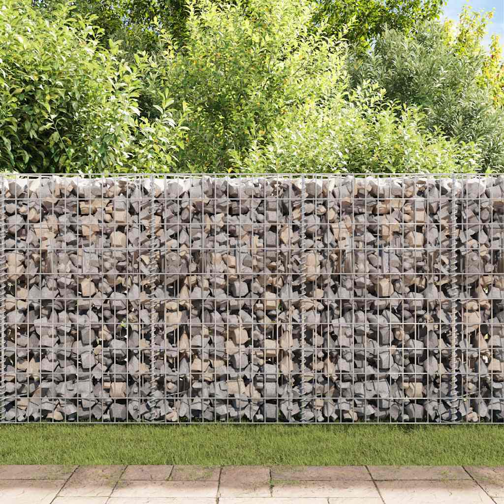 Gabbione in Rete in Acciaio Zincato 120x30x100 cm