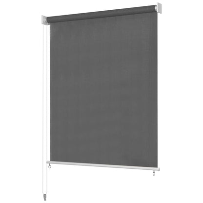 Tenda a Rullo per Esterni 300x140 cm Antracite