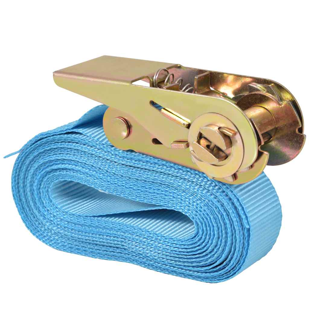 Cinghie dâ€™Ancoraggio 4 pz a Cricchetto 0,8 T 6mx25mm Blu