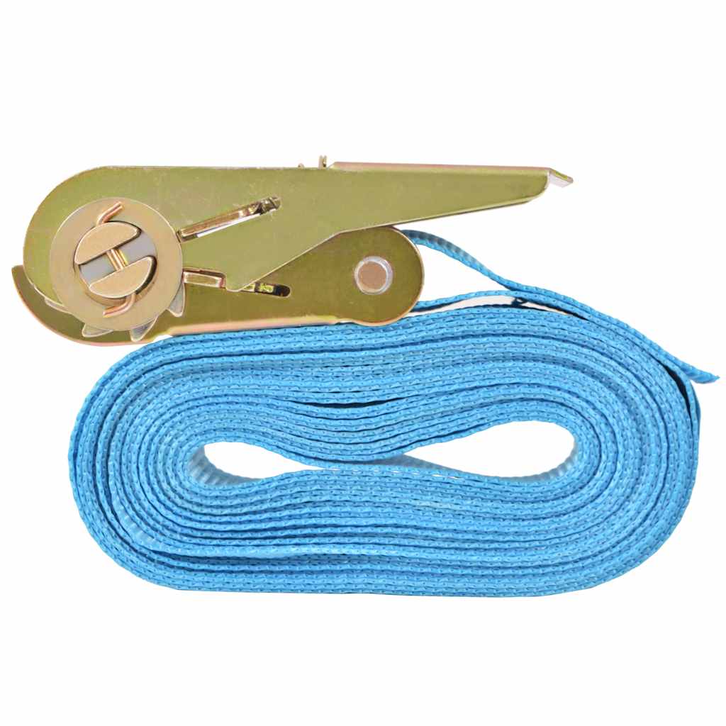 Cinghie dâ€™Ancoraggio 4 pz a Cricchetto 0,8 T 6mx25mm Blu