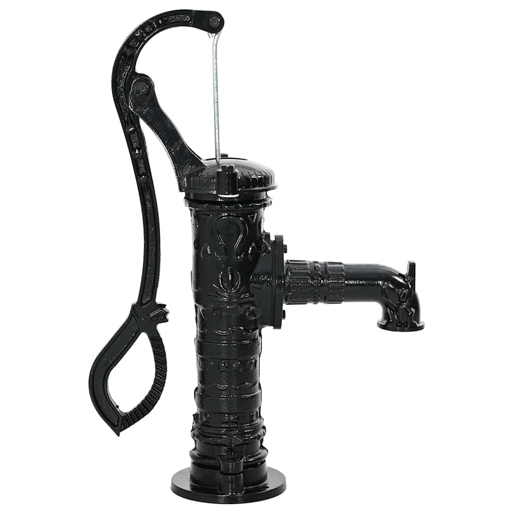 Pompa d'Acqua Manuale da Giardino in Ghisa