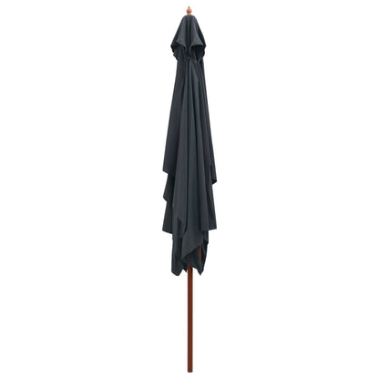 Ombrellone da Esterni con Palo in Legno 200x300 cm Antracite