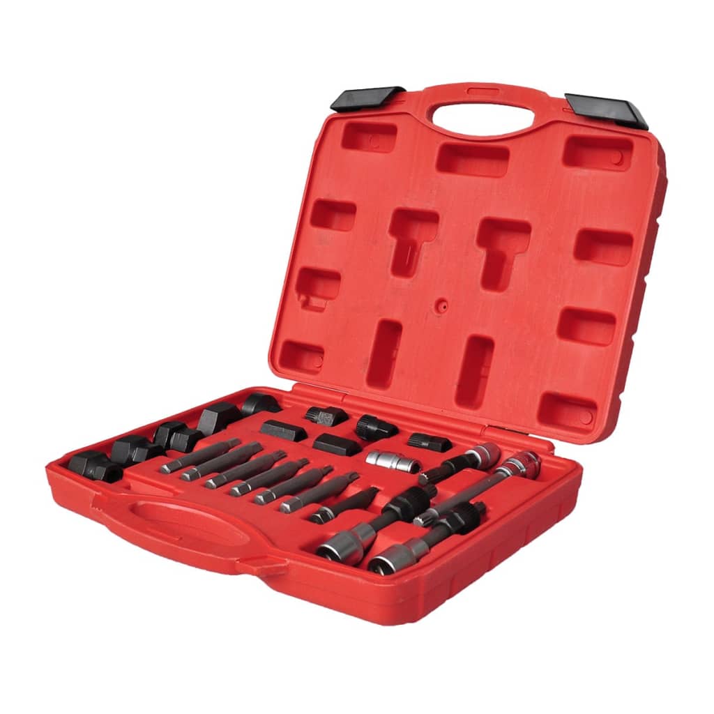 Set per Rimozione Ruota Libera Alternatore 22 pz