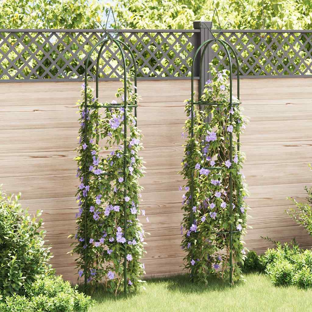 Set Torri ad Arco 2 pz per Piante Rampicanti da Giardino