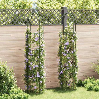 Set Torri ad Arco 2 pz per Piante Rampicanti da Giardino