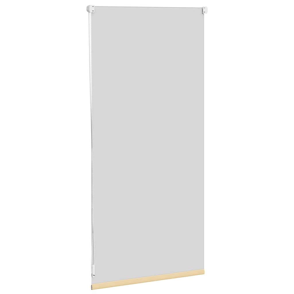 Tenda Oscurante a Rullo 40 x 100 cm CaffÃ¨