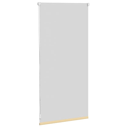 Tenda Oscurante a Rullo 40 x 100 cm CaffÃ¨