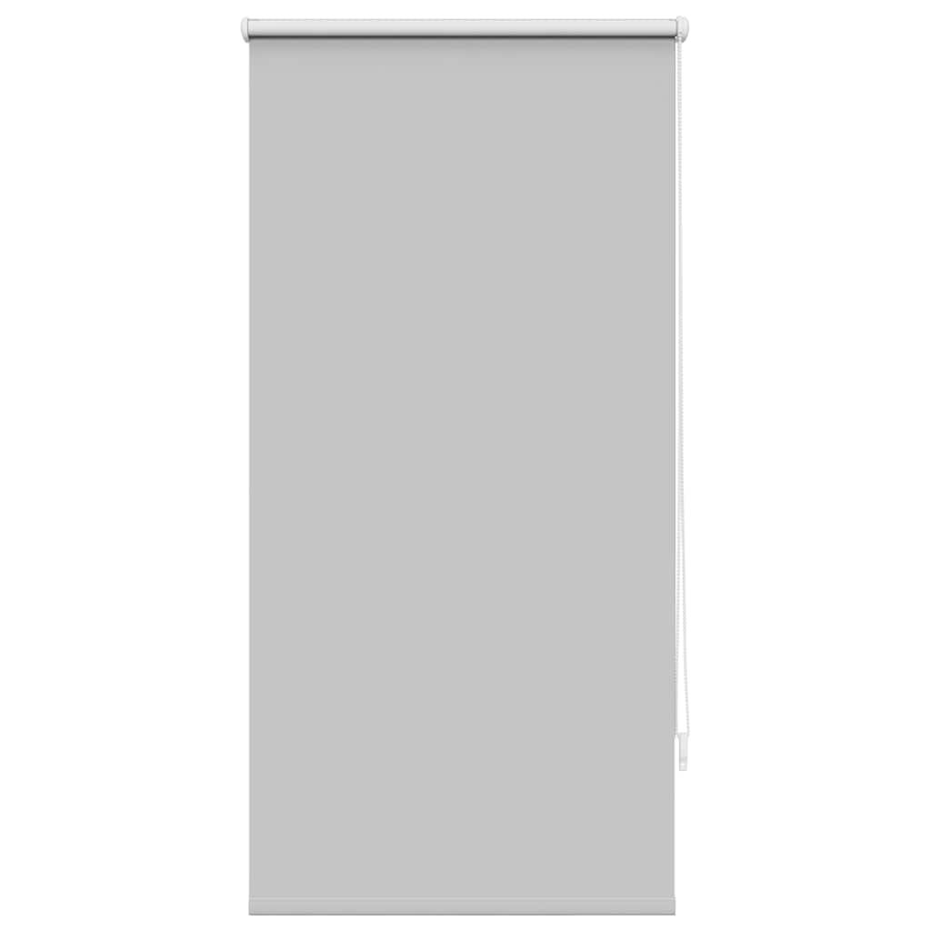 Tenda a rullo oscurante 60 x 120 cm Grigio