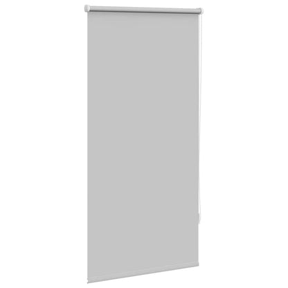 Tenda a rullo oscurante 60 x 120 cm Grigio