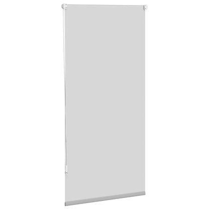 Tenda a rullo oscurante 60 x 120 cm Grigio