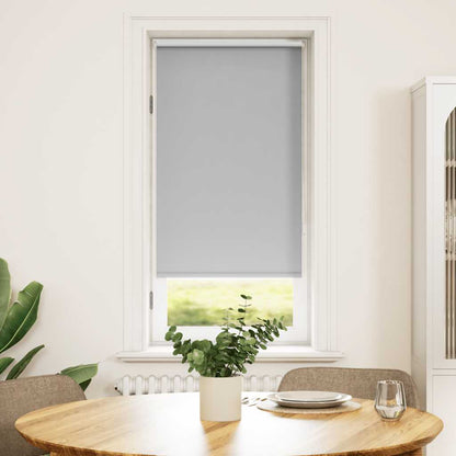 Tenda a rullo oscurante 60 x 120 cm Grigio