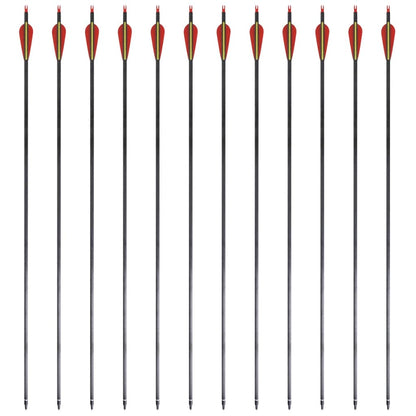 Frecce Standard 12 pz per Arco Ricurvo 30" 0,76 cm in Carbonio