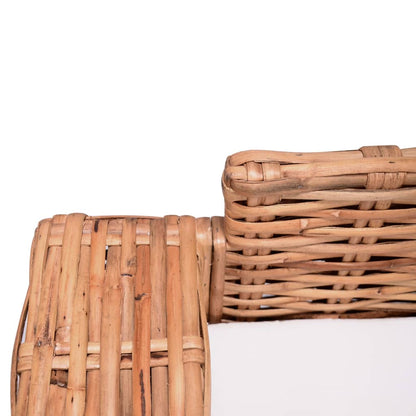 Divano da Giardino a 2 Posti in Rattan Naturale