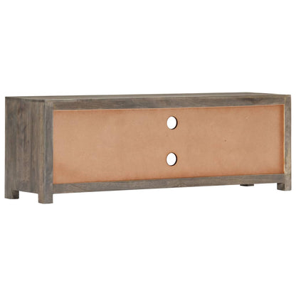 Mobile Porta TV Grigio 120x30x40 cm in Legno Massello di Mango