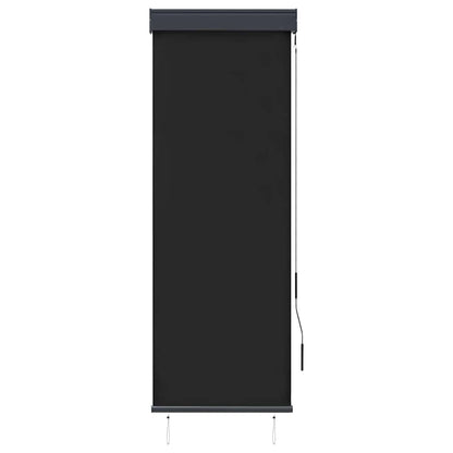 Tenda a Rullo per Esterni 60x250 cm Antracite