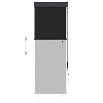 Tenda a Rullo per Esterni 60x250 cm Antracite