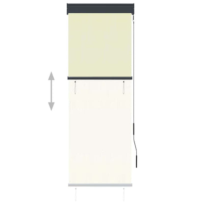 Tenda a Rullo per Esterni 60x250 cm Crema