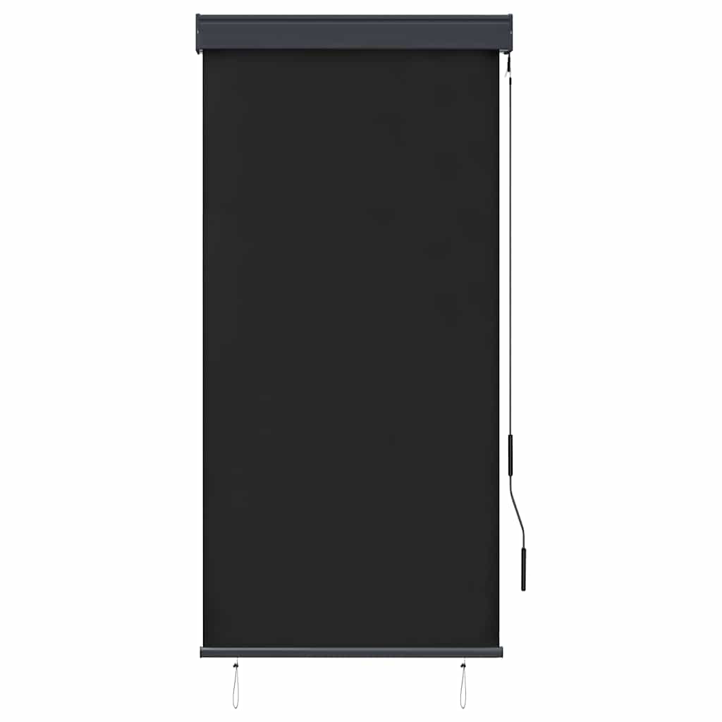 Tenda a Rullo per Esterni 80x250 cm Antracite