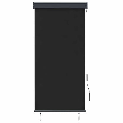 Tenda a Rullo per Esterni 80x250 cm Antracite
