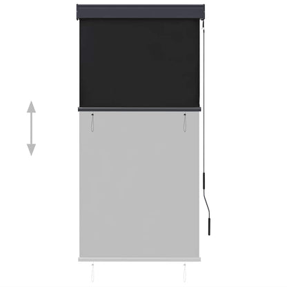 Tenda a Rullo per Esterni 80x250 cm Antracite