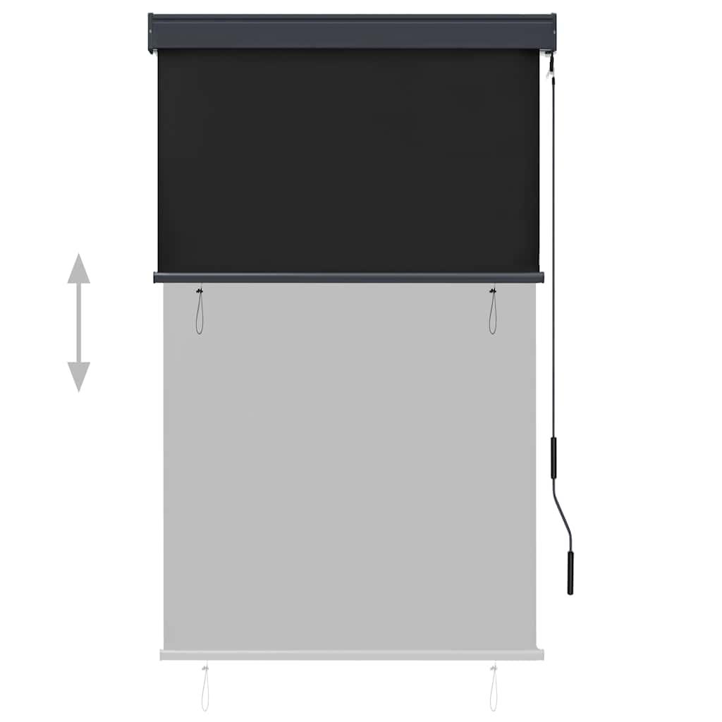 Tenda a Rullo per Esterni 100x250 cm Antracite