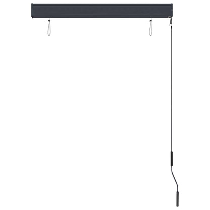 Tenda a Rullo per Esterni 100x250 cm Antracite