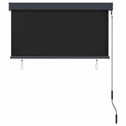 Tenda a Rullo per Esterni 120x250 cm Antracite