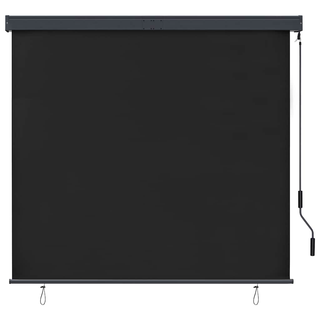 Tenda a Rullo per Esterni 160x250 cm Antracite