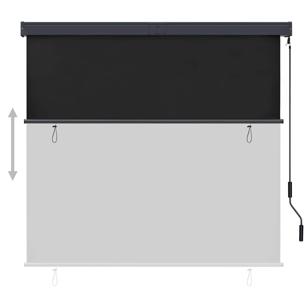 Tenda a Rullo per Esterni 160x250 cm Antracite