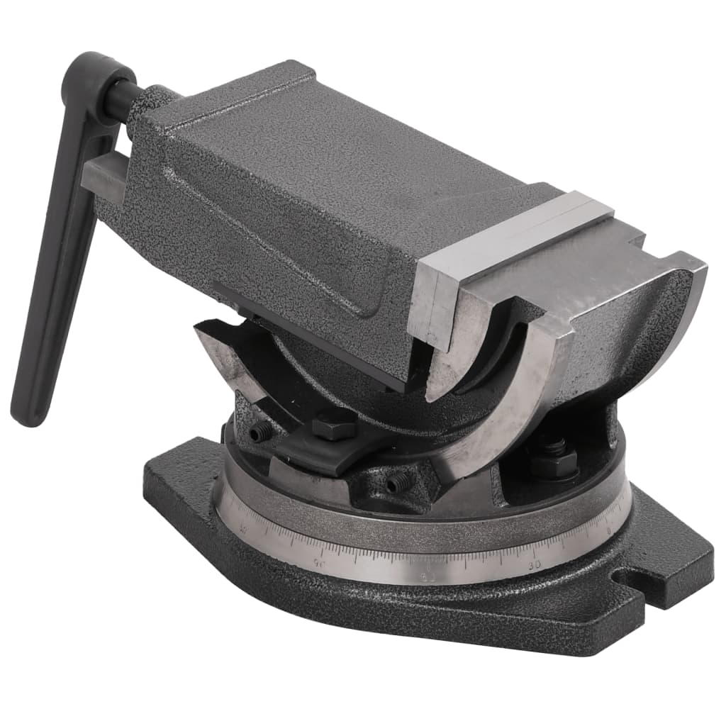 Morsa Inclinabile a 2 Assi 100 mm