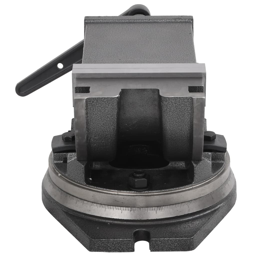 Morsa Inclinabile a 2 Assi 160 mm