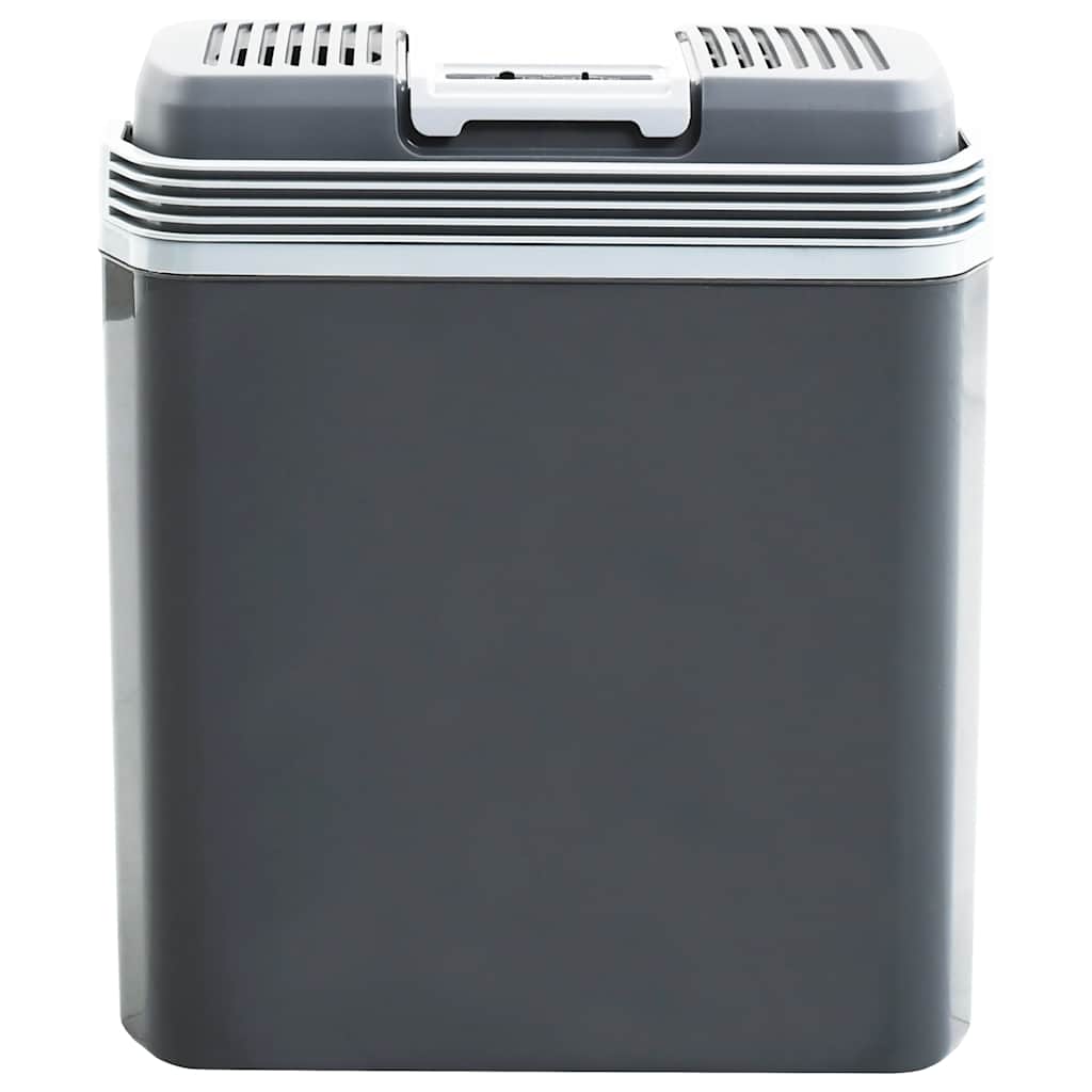Scatola Termoelettrica Portatile 20 L 12 V 230 V E